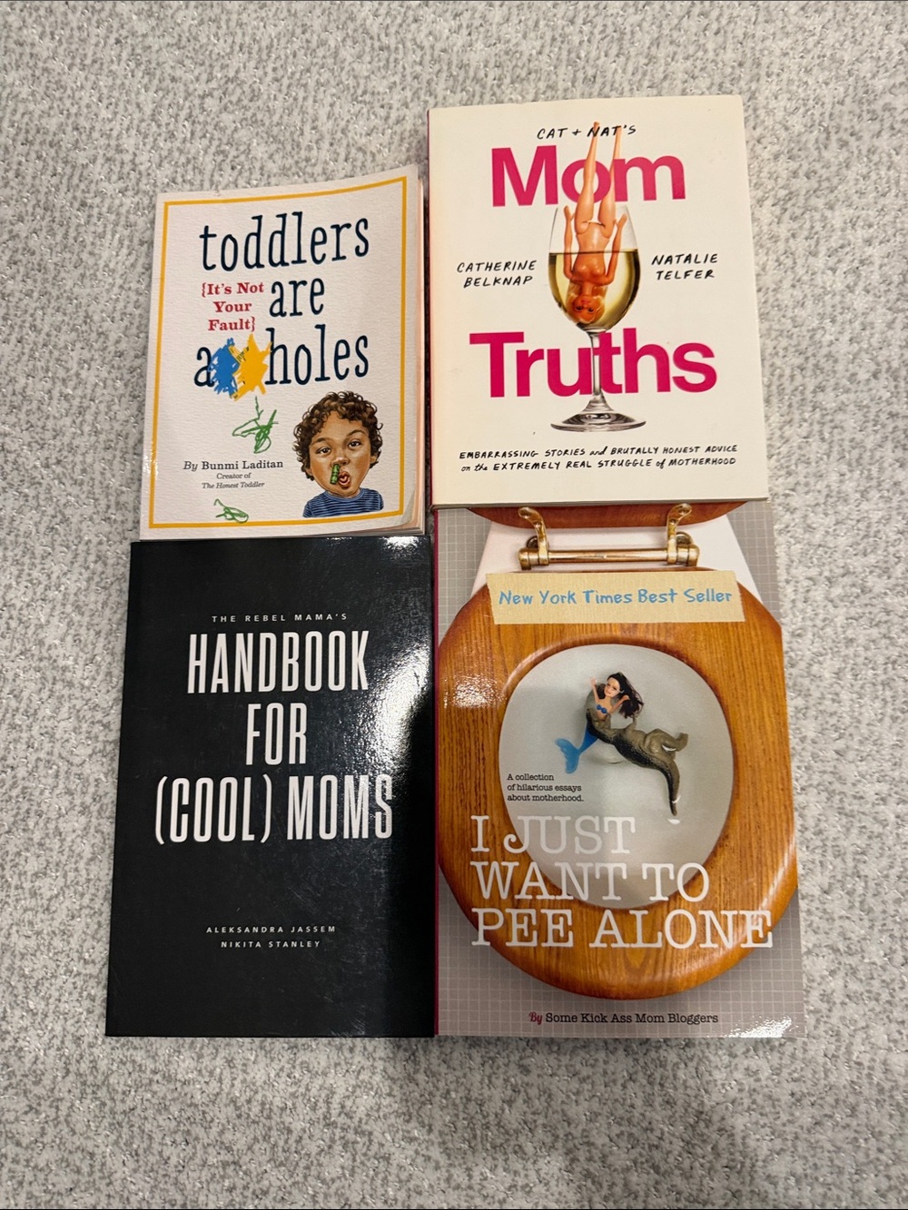 Motherhood Book Bundle — Humor & Parenting Reads